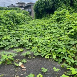 三養基郡みやき町　売地　25坪 画像6